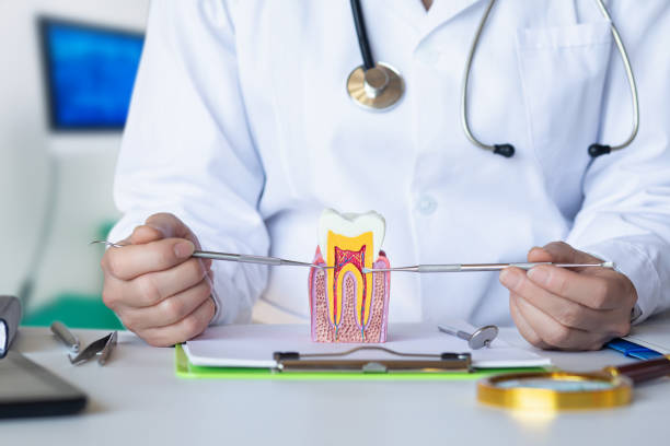 Best Emergency Treatment for Dental Infections or Abscesses in West Bradenton, FL